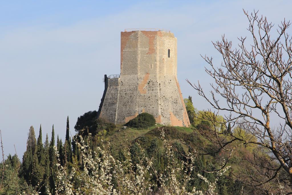 La Terrazza Sulla Val D'Orcia Daire Castiglione dʼOrcia Dış mekan fotoğraf