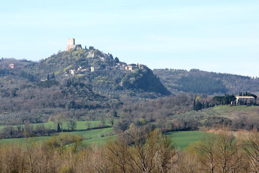 La Terrazza Sulla Val D'Orcia Daire Castiglione dʼOrcia Dış mekan fotoğraf