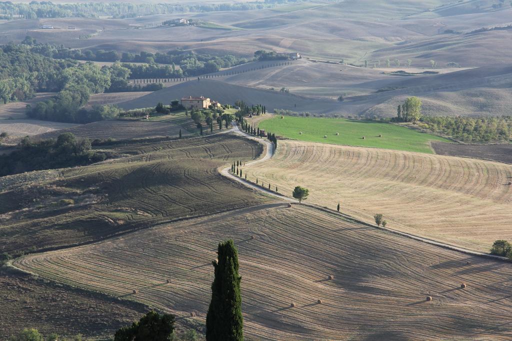 La Terrazza Sulla Val D'Orcia Daire Castiglione dʼOrcia Dış mekan fotoğraf