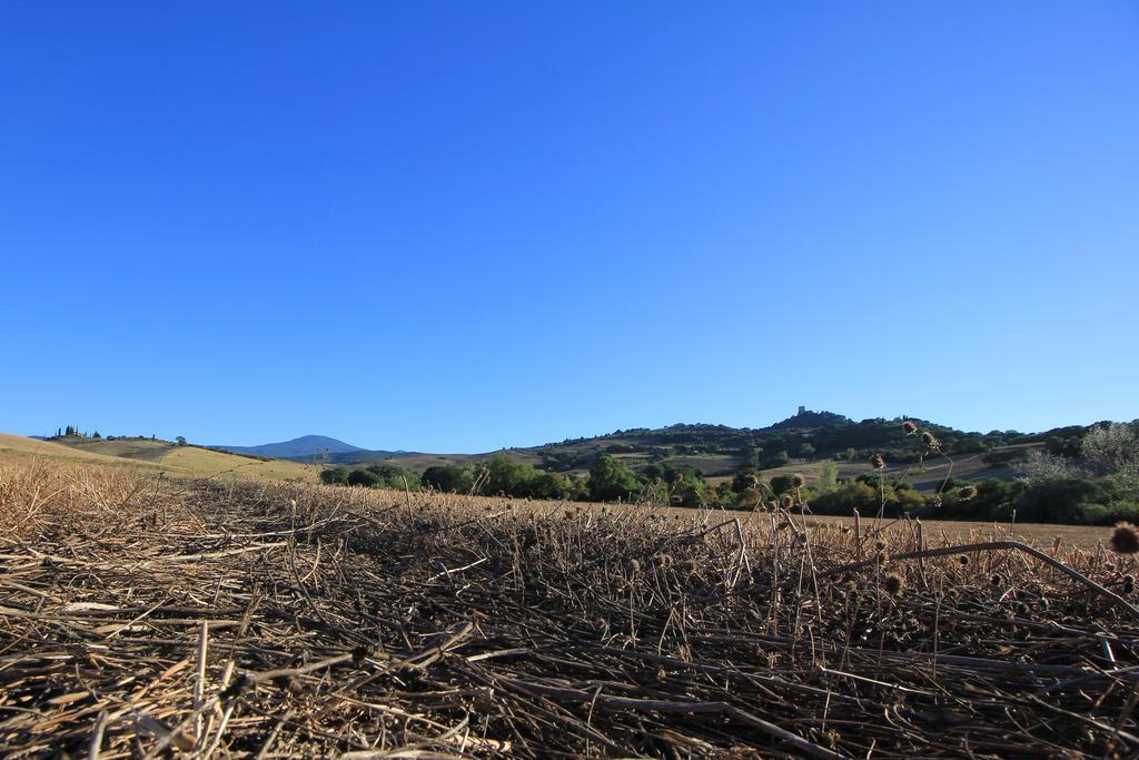 La Terrazza Sulla Val D'Orcia Daire Castiglione dʼOrcia Dış mekan fotoğraf