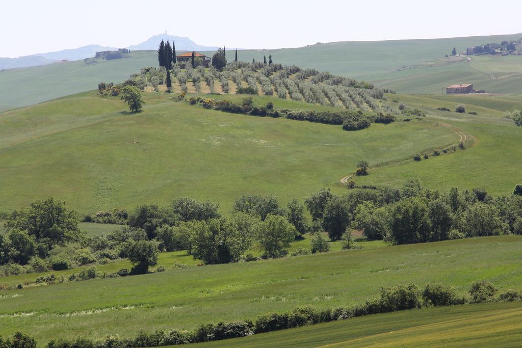 La Terrazza Sulla Val D'Orcia Daire Castiglione dʼOrcia Dış mekan fotoğraf